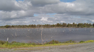 Lake in Front of the Cemetery