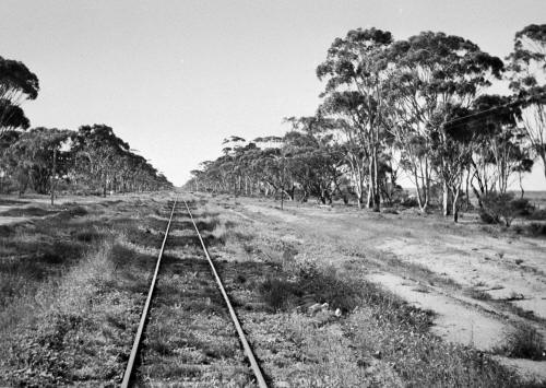 Midland Railway line near Moora