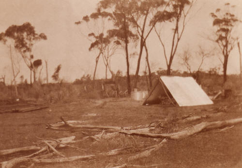 Ken & Adrian Jones' Berkley Farm in Waddy Forest